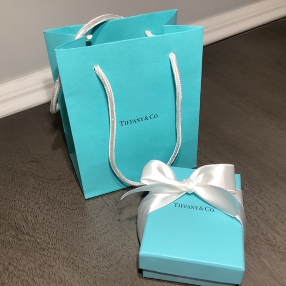 Tiffany & Co Elsa Peretti Large Eternal Circle Pendant with T & Co. 925 Chain - Picture 9 of 11